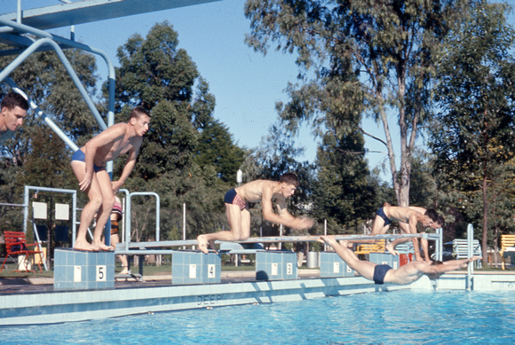 1967 480a Swim Sports Cook photo